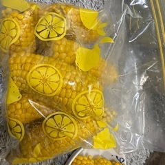 朝取りとうもろこし　　Ｂ級品　