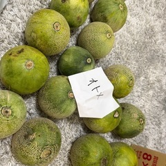 Ｂ級品　　　鉾田市産おとめメロン