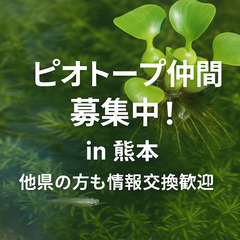 【熊本県八代市中心】ピオトープ・メダカ・ミナミヌマエビ・ヒ…
