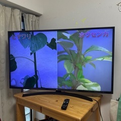 55インチ 4k 液晶テレビ LG 55UK6300PJF
