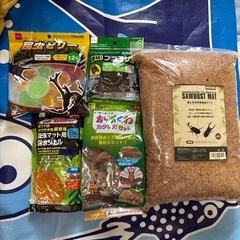 カブトムシ・クワガタ飼育5点セット