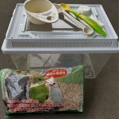 最終値下げ！　飼育ケース　雛鳥飼育ケース　給餌セット　虫かご