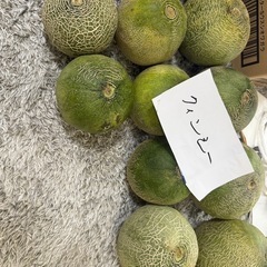 鉾田市産クィンシーメロン　　Ｂ級品
