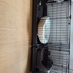 犬ゲージ
