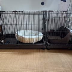 犬ゲージの画像