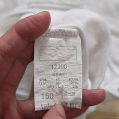 小学生　半袖　体操服　150cm　綿100%の画像