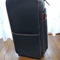 PUJOLS キャリーバッグ　キャリーケース　スーツケースの画像