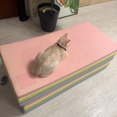 傷、汚れあり/マット