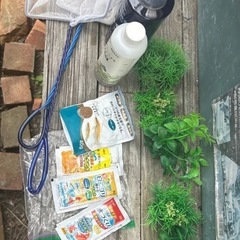 メダカセット