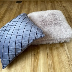 値下げ！【展示品未使用】ニトリ クッション 2個セット 45cm ×45cm  ポリエステルの画像