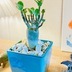 ランキングキーワードに紐づく投稿画像-観葉植物