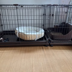 犬ゲージ