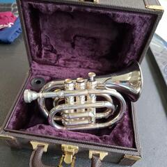 ⏹️ワケ有り中古　🎺トランペットの画像