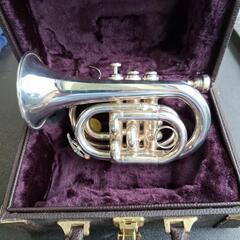 ⏹️ワケ有り中古　🎺トランペットの画像