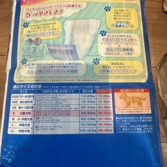 犬　値下げ　男の子用Sマナーウェアの画像