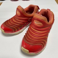 NIKE ダイナモフリー 17cm