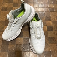 PUMAメンズゴルフシューズ28cm