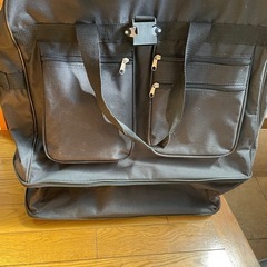 調節可能キャリーバッグの画像