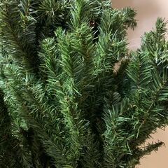 クリスマス　ツリーの画像
