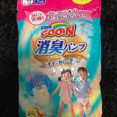 グーン　ビックサイズ