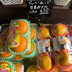 最終入荷✨甘夏みかん・ジューシーオレンジ