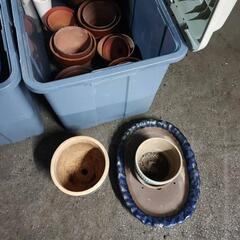 無料！植木鉢いろいろの画像