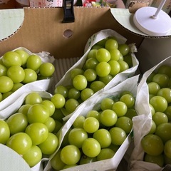 山梨県産高級シャインマスカット✨