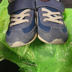 中古 ミキハウス×ミズノ16cm の画像