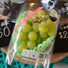 山梨県産シャインマスカット入荷✨