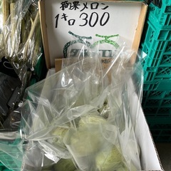 漬物用メロン1キロ¥300にて小売してます⭐︎