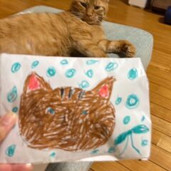 推定５歳位　ラ・ムーで傷だらけでうずくまってたラム君【6月8日(...