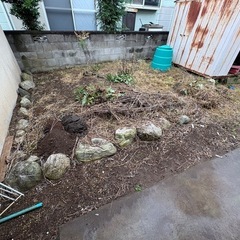 1個から　小中庭石　青い石　ガーデニングの画像