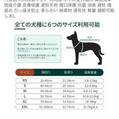 中型犬　大型犬　術後服　ヒョウ柄ピンク　Lサイズの画像