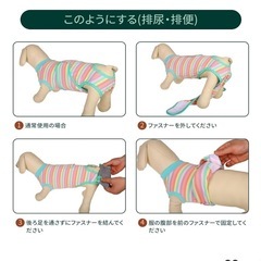 中型犬　大型犬　術後服　ヒョウ柄ピンク　Lサイズの画像