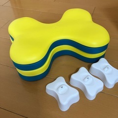 犬の知恵玩具