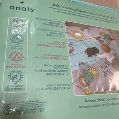 エイデンアンドアネイ　プレイマットの画像