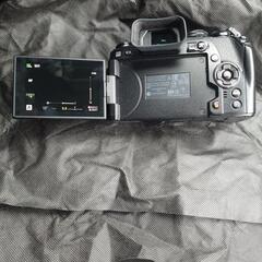 OLYMPUS　OMD em1 markⅡの画像