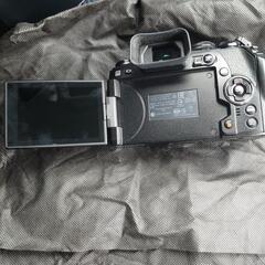 OLYMPUS　OMD em1 markⅡの画像