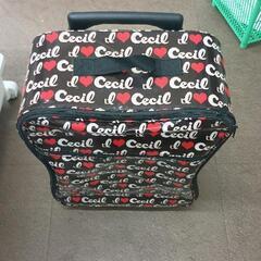 0603-056 CECIL McBEE スーツケース