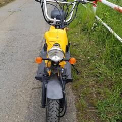 暑さに負けずに、お値下げ　ホンダ　バイト　AF59 　実動車　2002年製　通勤・通学に♪　さいたま市桜区発の画像