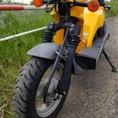 暑さに負けずに、お値下げ　ホンダ　バイト　AF59 　実動車　2002年製　通勤・通学に♪　さいたま市桜区発の画像