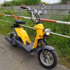 ホンダ　バイト　AF59 　実動車　2002年製　通勤・通学に♪...