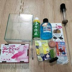 【used】　ベタ　コレクションケース　M めだか　メダカ　水槽...