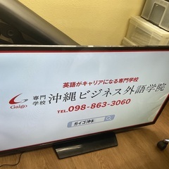 値下げしました。ドウシシャTV(オリオン)  ４８型