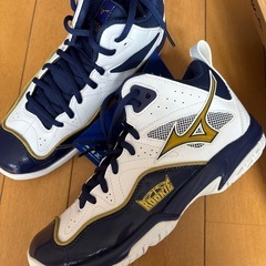 バッシュ　ミズノ　の画像