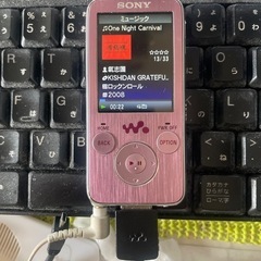 SONY ソニー WALKMAN デジタルウォークマン NW-S...