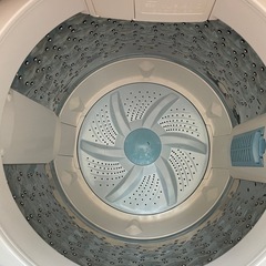 東芝 洗濯機5kg【6/12引渡し可能な方】の画像
