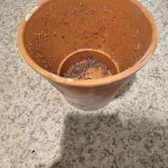 使用済み植木鉢