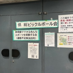 【ピックルボール】6/8 (沖縄市)県総体育館でピックルボ…