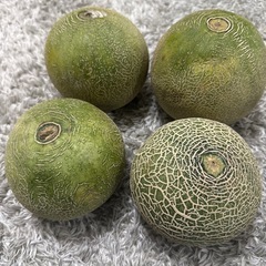 鉾田市産クィンシーメロン　Ｂ級品